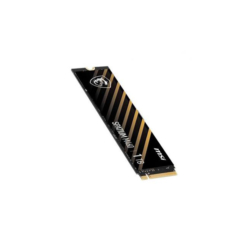 اس اس دی اینترنال ام اس آی ظرفیت 1 ترابایت مدل SPATIUM M460 M.2